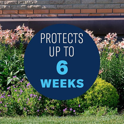 BioAdvanced Shrub Care Protect & Feed, Granules, 10 lb