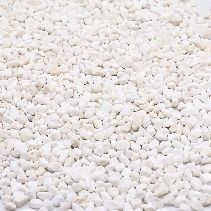 White Rocks. Decorative Pebbles. 1/5 Inch 10 lbs for Garden, Landscaping, Indoor, Vase Fillers, Crafting, Succulents, Pots, Plants (Mini, Tumbled)