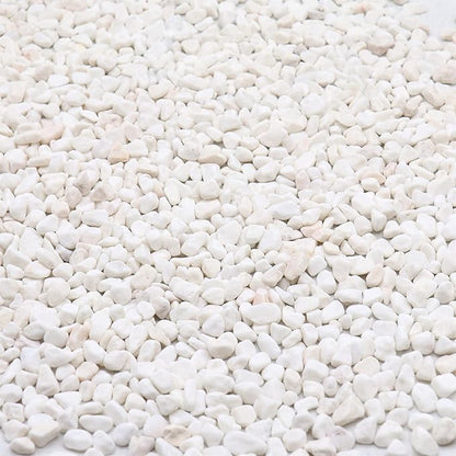 White Rocks. Decorative Pebbles. 1/5 Inch 5 lbs for Garden, Landscaping, Indoor, Vase fillers, Crafting, Succulents, pots, Plants (Mini (0.2 Inch), Tumbled, 5)