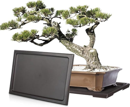 Pinkunn 6 Pcs Bonsai Humidity Tray Rectangular Drip Tray Plastic Plant Water Catcher Plant Saucers for Indoors and Outdoors Cactus,Succulents,Bonsai Tree,Stone Not Included (11 x 8 Inch)