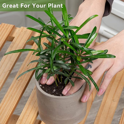 Ekirlin 3.5 inch Plant Pot Indoor, Grey Cement Flower Planters for Home Decor, Modern Succulents Containers with Drain Hole, Removable Rubber Stopper, Non-Slip Soft Pad, for Most Plants and Flowers
