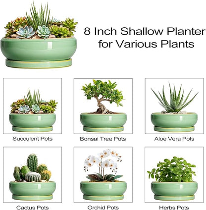 Succulent Planters - 8 Inch Ceramic Bonsai Pots with Drainage Hole and Plant Tray, Round Planter for Indoor Outdoor Plants, Shallow Planter Bowl, Room Decor, Housewarming Gifts, Light Green
