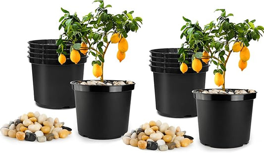 5 Gallon Pots with 20lbs Rocks, 12 Inch Plastic Nursery Pots with Drainage Holes, Round Sturdy Garden Pots with Stones, Deep Nursery Pots for Plants, Gardening Gifts for Women (10-Pack, Black)