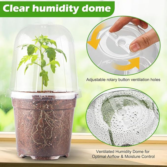 6 Inch Clear Nursery Pots with Humidity Dome, 30 Pack Reusable Seed Starter Pot with Drainage Holes, Transparent Plastic Plant Seedling Pots for Propagation Indoor Plants Outdoor Gardening