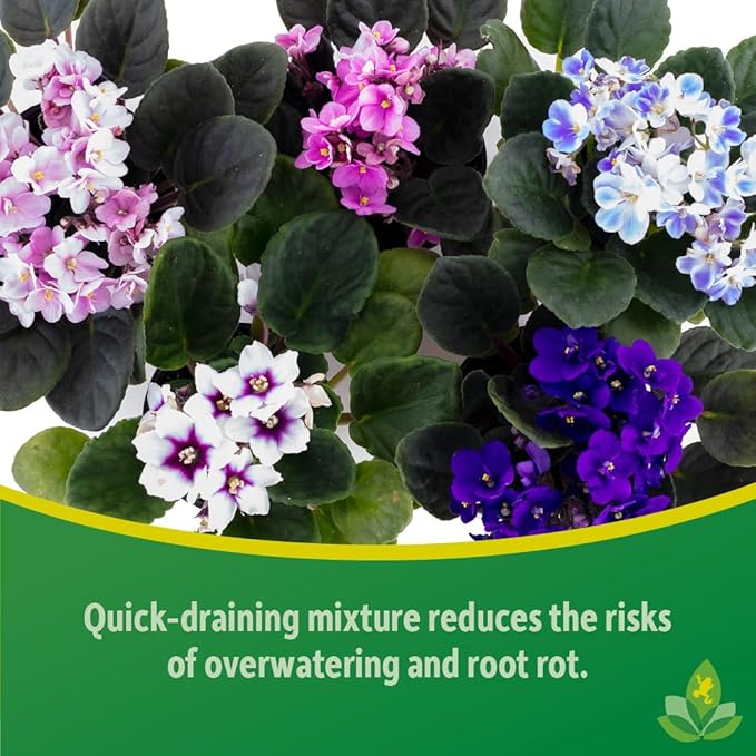 Josh's Frogs African Violet and Gesneriad Soil (1 Quart)