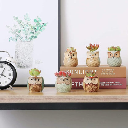 T4U 2.5 Inch Owl Ceramic Succulent Planter Pots with Drainage Hole Set of 6, Mini Cute Flower Pots Tiny Plant Holder Container Best for Home Office Garden Decoration Owl Gift Ideas