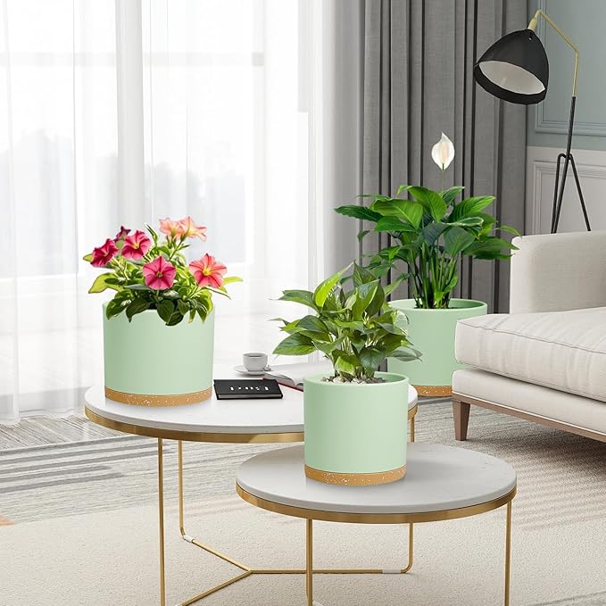 Large Plant Pots Set of 3 – 8", 9", 10" Indoor Flower Pots with Drainage Holes and Saucers, Big Planters for Monstera, Fiddle Leaf Fig, Snake Plant – 5 Colors