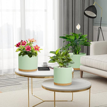 Large Plant Pots Set of 3 – 8", 9", 10" Indoor Flower Pots with Drainage Holes and Saucers, Big Planters for Monstera, Fiddle Leaf Fig, Snake Plant – 5 Colors