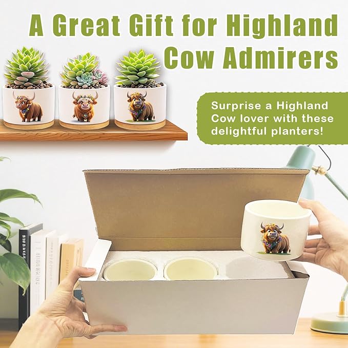 Highland Cow Planters for Indoor Plants – 1350°C Kiln-Fired Fine Ceramic Succulent Planter Set of 3, Funny Animal Pots for Room, Bathroom, Yoga, Meditation Decor (No Plant Included)