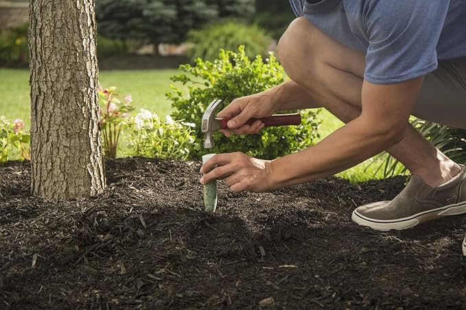 Miracle-Gro Fertilizer Spikes for Fruit and Citrus Trees, 12-Pack (Not Sold in Pinellas County, FL)