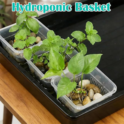 BTPLASTIK Clear Square Nursery Pots, 30 Packs 4 Inch Clear Air Pruning Square Pots, Transparent Plastic Plant Pots for Seed Starting, Root Cutting
