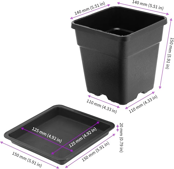 JEUIHAU 16 Packs 5.5 Inch Plastic Square Nursery Pots, Black Square Nursery Plant Pot with Saucers, Seedling Nursery Transplanting Planter for Flower, Succulent, Herb, Small Potted Plants