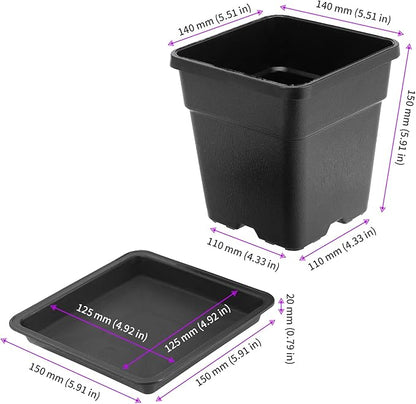 JEUIHAU 16 Packs 5.5 Inch Plastic Square Nursery Pots, Black Square Nursery Plant Pot with Saucers, Seedling Nursery Transplanting Planter for Flower, Succulent, Herb, Small Potted Plants