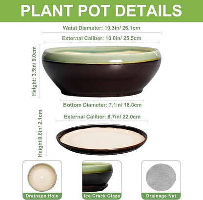 SQOWL Succulent Planters 10 Inch - Ceramic Bonsai Pots with Drainage Hole and Saucer, Shallow Indoor Planter, Round Succulent Pot, Bowl Planter Outdoor, Porch Decor, Gift for Plant Lover, Green-Brown