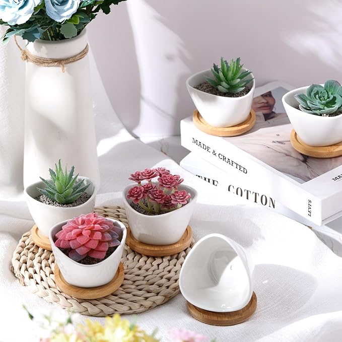 Domensi 24 Pack Succulent Planter Pots 3 Inch Small Plant Pots Mini Ceramic Succulent Planter Holder with Drainage Holes and Bamboo Saucers (White)