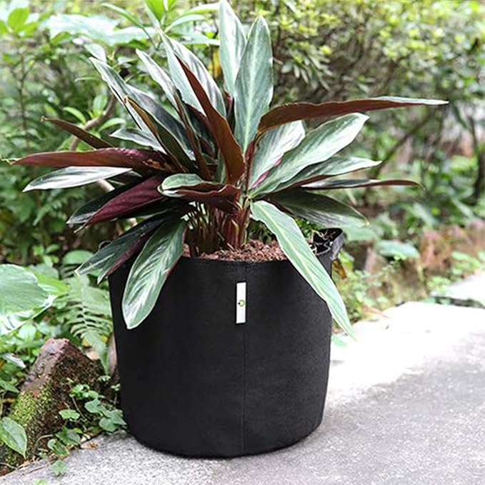 Grow Bags,5 Gallon Pots for Plants,5 Gallon Grow Bags,for Vegetables, Flowers, and Plants,Fabric Pots,300G, Heavy-Duty Non-Woven, with Comfort Handles（Set of 4）