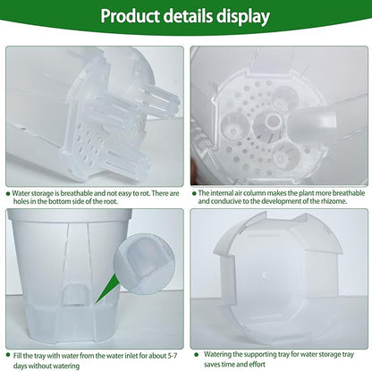 Cdd's Path 5-Pack 6 Inch Self Watering Naked Root Planter Pots with Drainage Holes & Reservoir, Plastic Planters with Air Pipes for Indoor Outdoor Plants，Clear