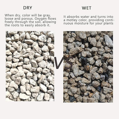 Horticultural Pumice for Plants 2QT, Natural Organic Pumice Stones for Succulent Cactus Bonsai Tree Orchid Potting Mixed, Improves Soil Aeration and Drainage, Promotes Root