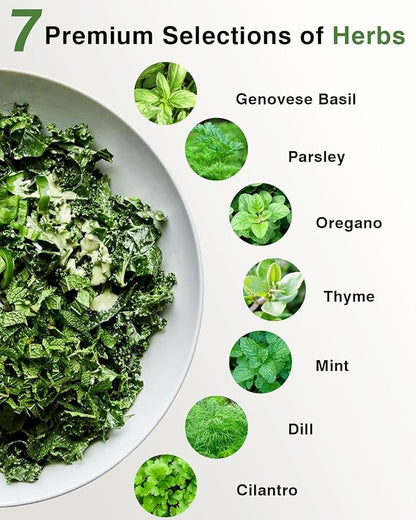 Gourmet Herbs Seed Pod Kit for AeroGarden, iDoo, Ahopegarden, MUFGA with Basil, Parsley, Thyme, Mint, Cilantro, Dill, Oregano - Compatible with All Hydroponics (12-Pod)