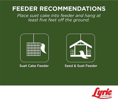 Lyric Peanut Pieces High Energy Suet Cakes for Wild Birds, 12 oz. (12 Pack)