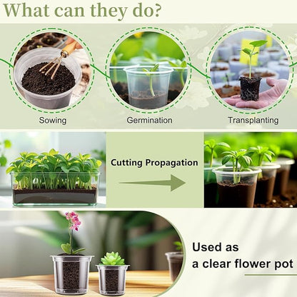 SupKing 20 Pack Clear Nursery Pots 6/5/4/3.5 Inch Plastic Seed Starter Large Small Plant Flower Pot with Drainage Holes for repotting Transplanting Succulents Cuttings Seedlings 15 Labels