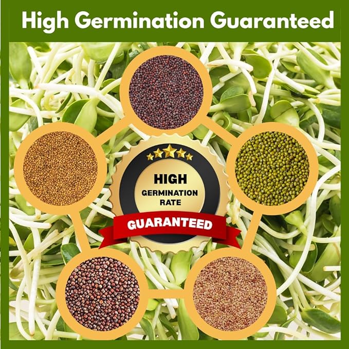 ZestiGreens Sprouting Seed Sampler – 5 Top Varieties (1 Pack Each, 11 g) | Broccoli, Alfalfa, Mung Bean, Clover & Daikon Radish | High-Germination, Perfect for Jars & Trays