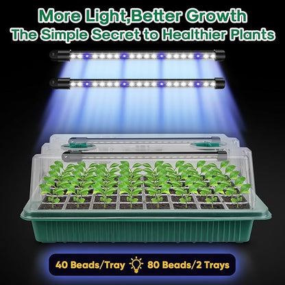 BlumWay Seed Starter Tray with Grow Light,2 Pack 80 Cells Seedling Tray Kit with Humidity Dome/Indoor Plant Starter Kit, Adjustable Brightness Plant Germination Trays-Green
