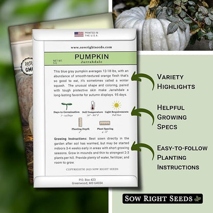 Sow Right Seeds - Jarrahdale Pumpkin Seeds for Planting - Non-GMO Heirloom Packet with Instructions to Plant & Grow an Outdoor Home Vegetable Garden - Unique Grey Blue Variety - Fall Decor (3)