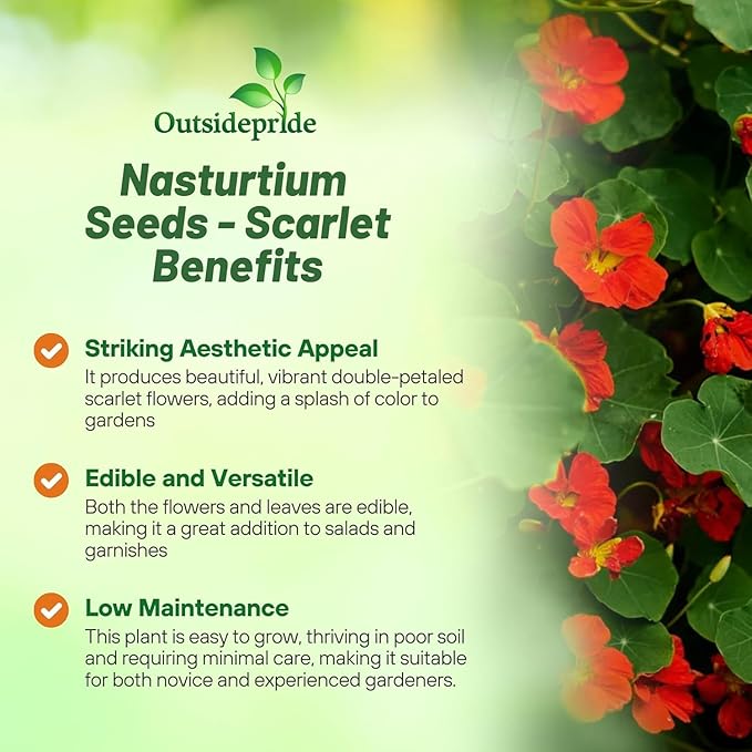 Outsidepride Double Gleam Scarlet Nasturtium Seeds - 200 pcs Annual, Dwarf, Edible, Trailing & Climbing Vine Flower Seeds for Deer Resistant Gardens, Container Plants & Hanging Baskets (AAS Winner)