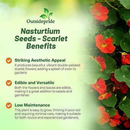 Outsidepride Double Gleam Scarlet Nasturtium Seeds - 200 pcs Annual, Dwarf, Edible, Trailing & Climbing Vine Flower Seeds for Deer Resistant Gardens, Container Plants & Hanging Baskets (AAS Winner)