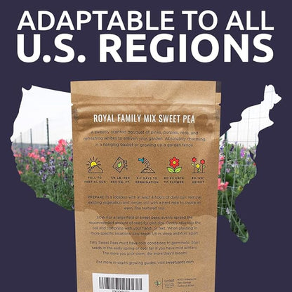 Sweet Pea Seeds Royal Mix - Bulk 1/4 Pound Bag - Over 1,400 Seeds - Large Fragrant Lavender, Purple, Red, Pink and White Blooms