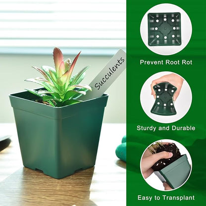 June Fox 60 Small Nursery Pots for Plants, 5 Seed Starter Tray Kit, 3.3 Inch Plastic Seedling Pots with Seedling Starter Trays, 60 Plant Tags (Green)