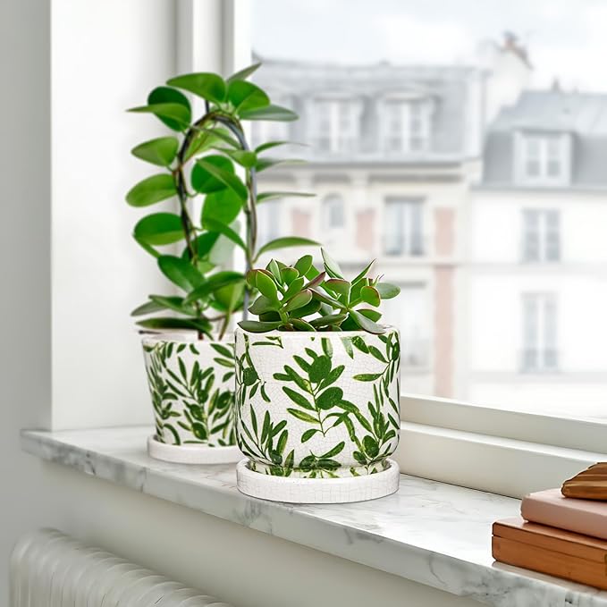 Small Ceramic Pot for Indoor Plants - 5.5 inch Plant Pot with Drainage Hole and Saucer Olive Leaf Decorative Planter Indoor Outdoor Flower Pots for Succulent Snake Pothos Plant Windowsill Home Garden