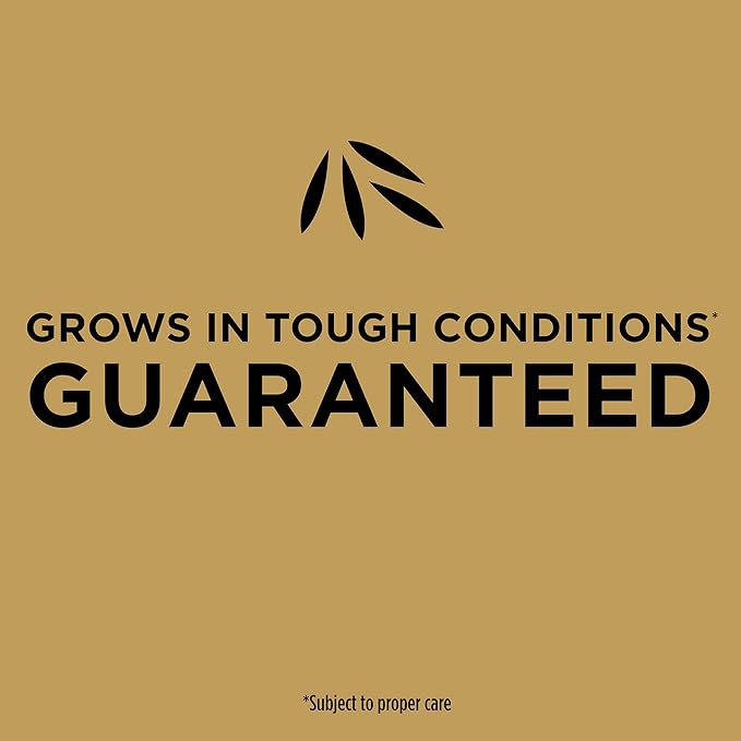 Scotts EZ Seed Patch & Repair Tall Fescue Lawns Combination Mulch, Grass Seed and Fertilizer for Bare Spots and Repair, Grows Anywhere, 3.75 lb, Brown