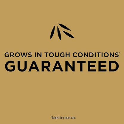 Scotts EZ Seed Patch & Repair Tall Fescue Lawns Combination Mulch, Grass Seed and Fertilizer for Bare Spots and Repair, Grows Anywhere, 3.75 lb, Brown