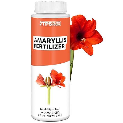 Amaryllis Fertilizer for Amaryllis Bulbs, Great for Amaryllis Bulbs in Vase or for Planting, Liquid Fertilizer by TPS Plant Foods, 8 oz (250mL)