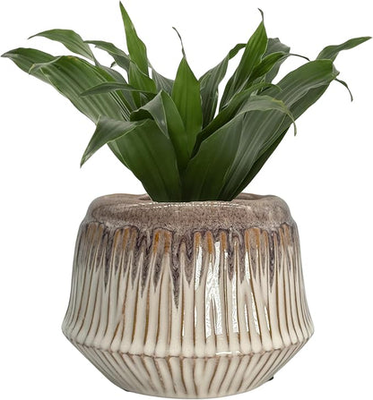 Admired by Nature 4" Ceramic Flower Planter Pot - for Home Decor, Indoor Plants, Garden Display - White
