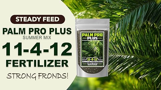 Fertilizer Commercial Grade | Palm Pro Plus Summer Mix 11-4-12 | 3 Pounds | Professional Tropical Palm Tree Feed | 3–4 Month Granular Slow Release Feed Delivery | Topdress Water in | Warm Season