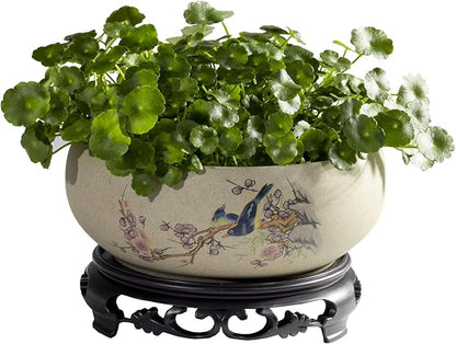 TOIVO Lotus Bowl Planter, Coarse Pottery Water Lily Flower Pot with Plastic Base, 7.8 inches (B-1)