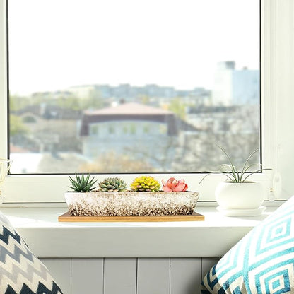 ARTKETTY Succulent Pots, 9.8 Inch Ceramic Succulent Planters with Drainage Small Bonsai Pot with Bamboo Tray, Mini Cactus Flower Planter Pot Shallow Rectangular Window Planters for Indoor Plants