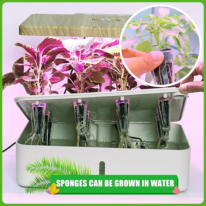 200 Pcs Seed Pods Replacement, Sponges Seed Growth Kit, Grow Sponges for Greenhouses & Germination Equipment, Starter for Indoor Garden System (Black)