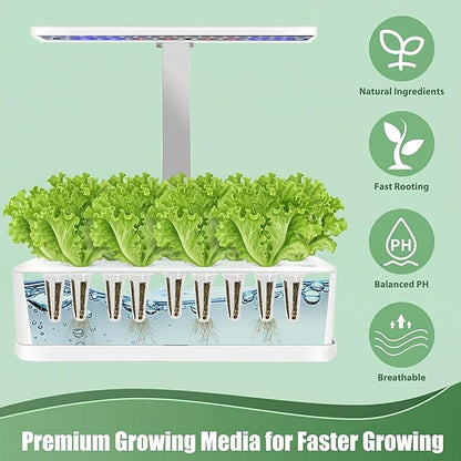 Iceberg Lettuce Seed Pods Kit for Hydroponic, 12 Pods Grow Anything Hydroponics Kit for Indoor Garden, Hydroponics Supplies with 12 Grow Sponges, 12 Plant Baskets, Iceberg Seeds - 12 POD