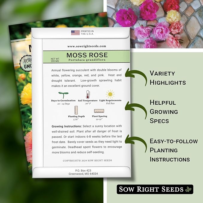 Sow Right Seeds - Moss Rose Seeds for Planting - Portulaca Grandiflora Mix - Double Flower Purslane - Non-GMO Heirloom Variety - Easy to Grow Outdoors - Colorful Annual for Garden & Containers (4)