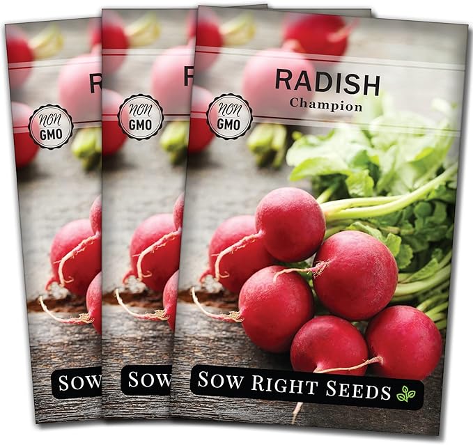 Sow Right Seeds - Champion Radish Seed for Planting - Non-GMO Heirloom Packet with Instructions to Plant a Home Vegetable Garden - Grow This Classic Red Variety - Spicy Cherry Type, Fast Growing (3)