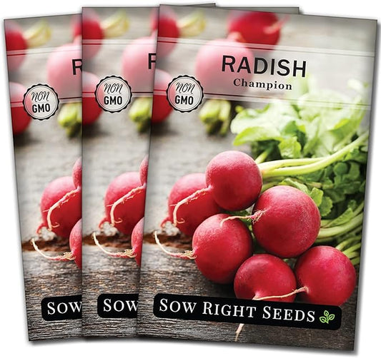 Sow Right Seeds - Champion Radish Seed for Planting - Non-GMO Heirloom Packet with Instructions to Plant a Home Vegetable Garden - Grow This Classic Red Variety - Spicy Cherry Type, Fast Growing (3)