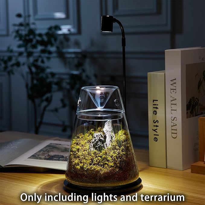 Glass Plant Terrarium with Lid 6.3"X7.9" Inches Succulent Air Planter Fern Moss Micro-Landscape Vase for Home Office Tabletop Decoration Container Indoor Wardian Copyright Patent（with Light）