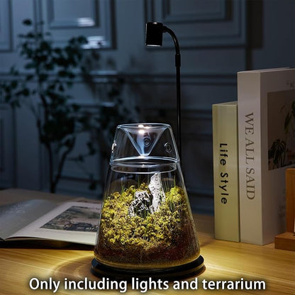 Glass Plant Terrarium with Lid 6.3"X7.9" Inches Succulent Air Planter Fern Moss Micro-Landscape Vase for Home Office Tabletop Decoration Container Indoor Wardian Copyright Patent（with Light）