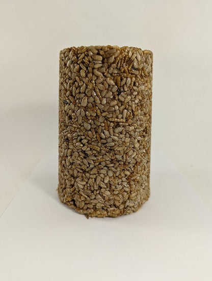 Wildlife Sciences Songbird Treats Seed Tower 2 Packs | Bundle of 2 | 1.5-2 lb Seed Log Towers for Wild Birds (Sunny Mealworm)