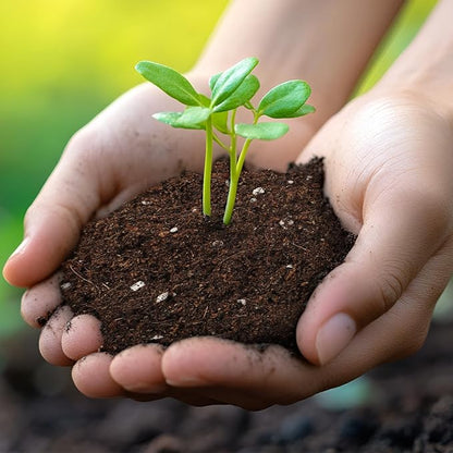 Seed Starter Potting Soil Mix 2qt, Seed Starting Mix for Germination and Growth, Loamy Compost Well-Drainaged Soil Fit for Vegetable, Flower, houseplant