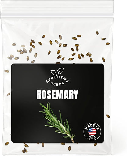 Rosemary Seeds for Planting – 100+ Non-GMO Heirloom Fragrant Evergreen Garden Plant, Ornamental & Pollinator Friendly (Rosmarinus officinalis)